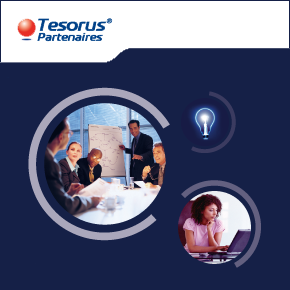 Brochure Tesorus